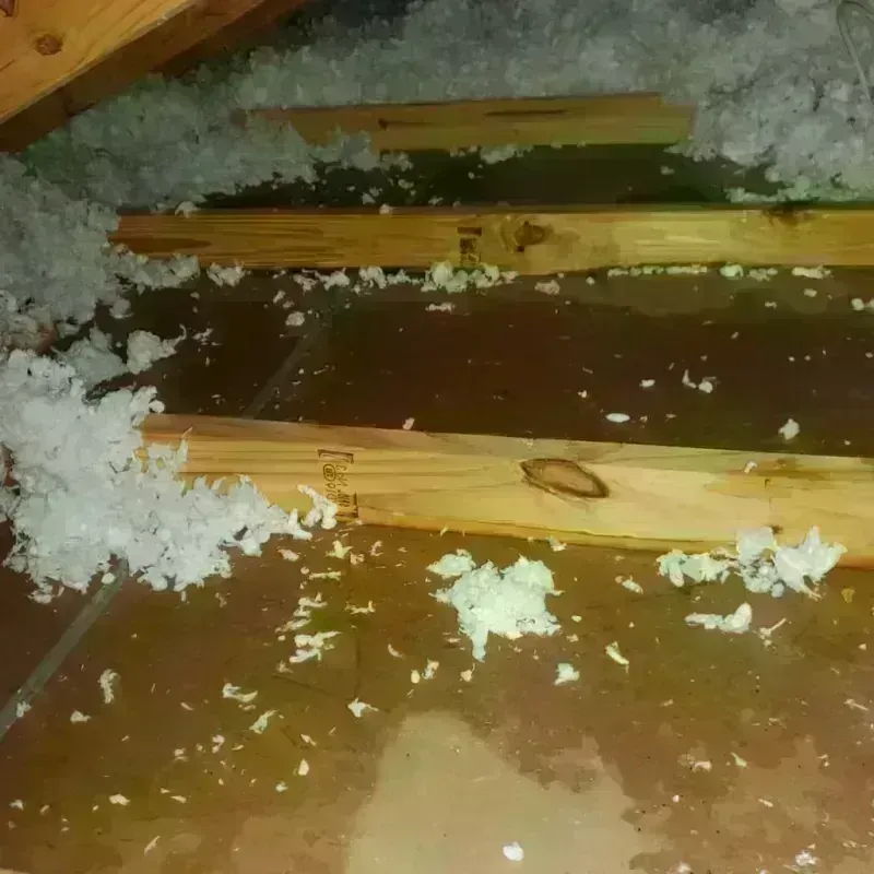 Attic Water Damage in Bagdad, FL